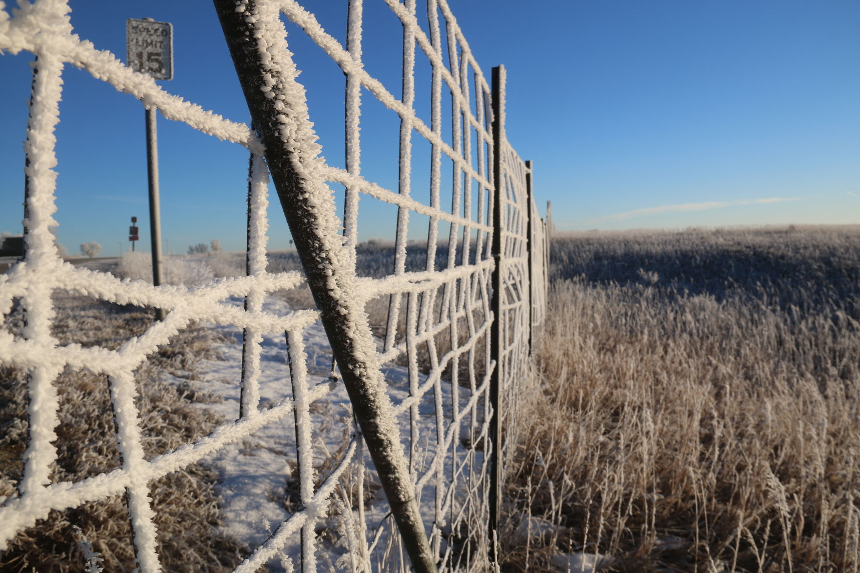 Park Fence Painted